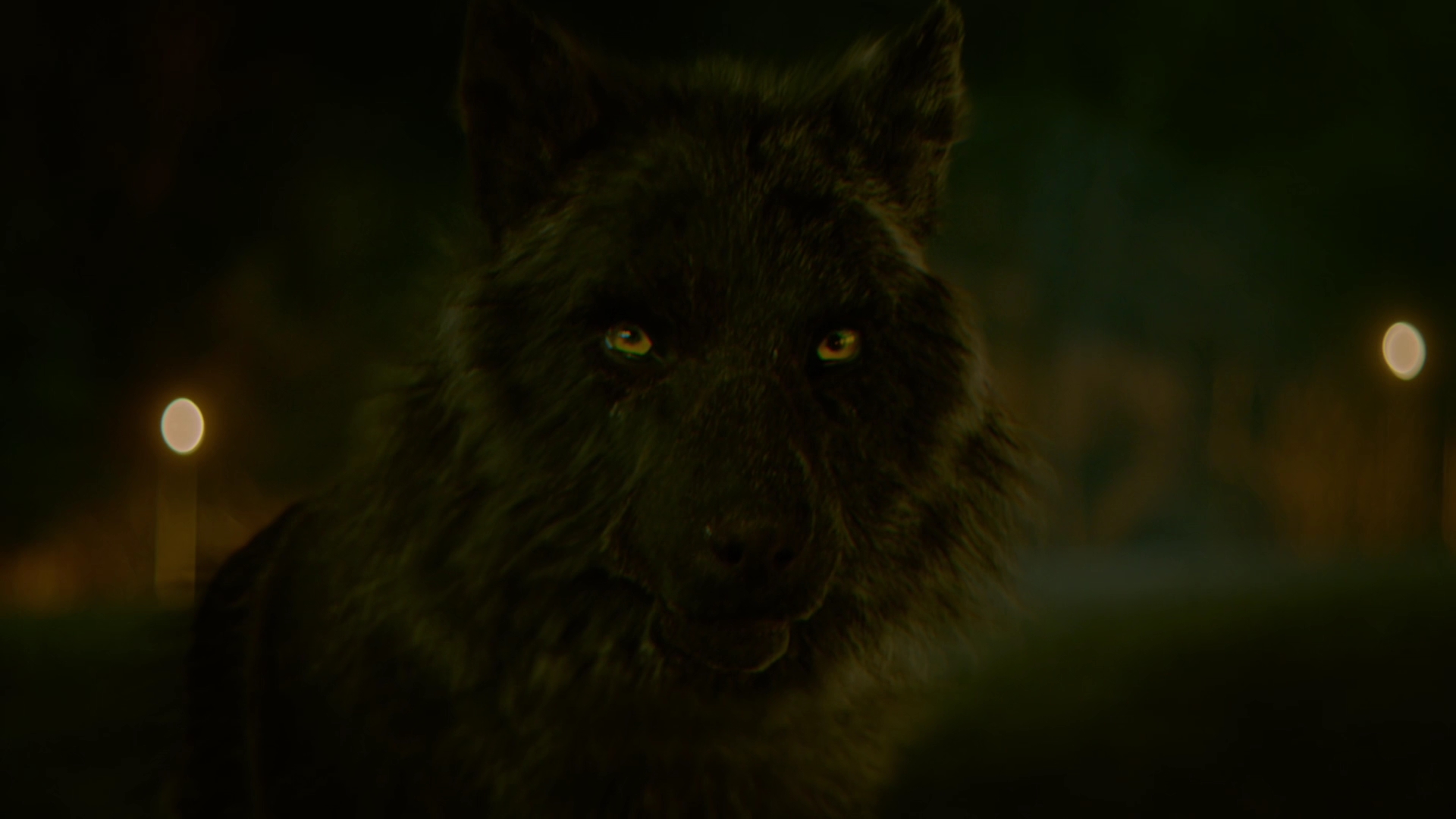 VampireDiariesWorld-dot-nl_Legacies1x16TheresAlwaysALoophole02297.jpg