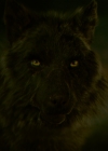 Filename=VampireDiariesWorld-dot-nl_Legacies1x16TheresAlwaysALoophole02297.jpg
Filesize=488KiB
Dimensions=1920x1080
Date added=Nov 22, 2019 VampireDiariesWorld-dot-nl_Legacies1x16TheresAlwaysALoophole02297.jpg