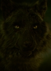 Filename=VampireDiariesWorld-dot-nl_Legacies1x16TheresAlwaysALoophole02298.jpg
Filesize=552KiB
Dimensions=1920x1080
Date added=Nov 22, 2019 VampireDiariesWorld-dot-nl_Legacies1x16TheresAlwaysALoophole02298.jpg