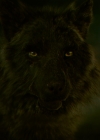 Filename=VampireDiariesWorld-dot-nl_Legacies1x16TheresAlwaysALoophole02299.jpg
Filesize=509KiB
Dimensions=1920x1080
Date added=Nov 22, 2019 VampireDiariesWorld-dot-nl_Legacies1x16TheresAlwaysALoophole02299.jpg