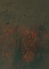 Filename=VampireDiariesWorld-dot-nl_Legacies1x16TheresAlwaysALoophole02361.jpg
Filesize=645KiB
Dimensions=1920x1080
Date added=Nov 22, 2019 VampireDiariesWorld-dot-nl_Legacies1x16TheresAlwaysALoophole02361.jpg