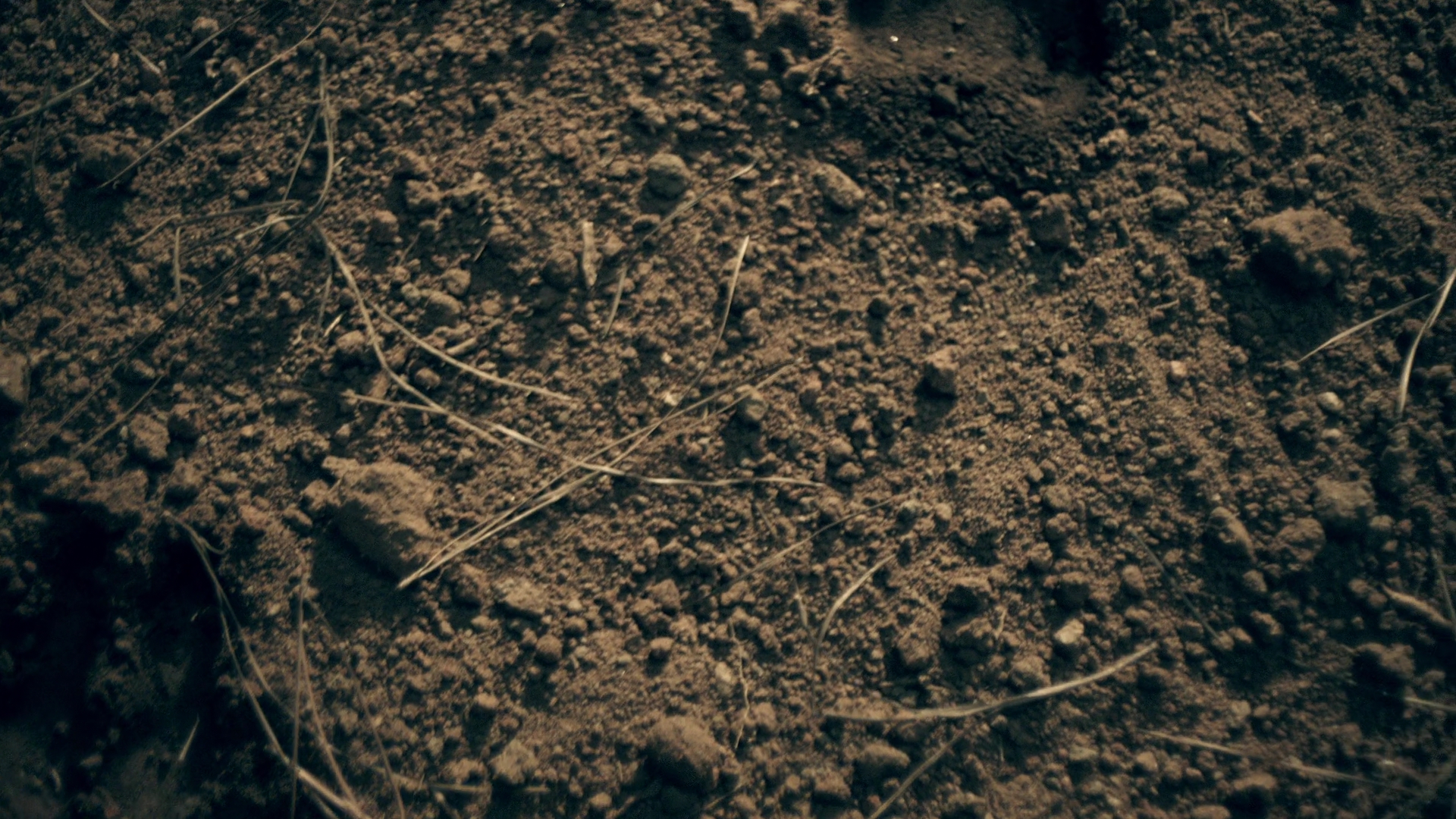 vampirediariesworld-dot-nl_Legacies2x03YouRemindMeofSomeoneIUsedtoKnow00719.jpg vampirediariesworld-dot-nl_Legacies2x03YouRemindMeofSomeoneIUsedtoKnow00719.jpg