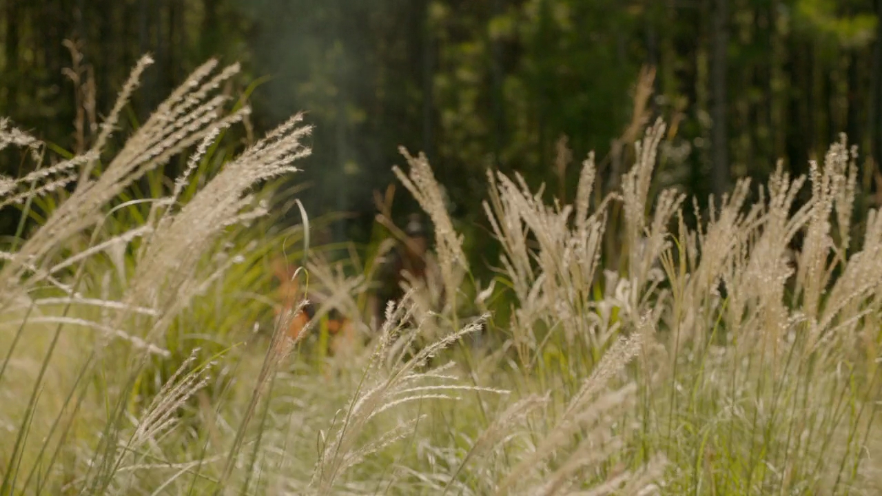 vampirediariesworld-dot-nl_Legacies2x04SinceWhenDoYouSpeakJapanese00008.jpg