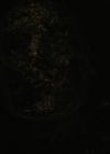 VampireDiariesWorld-dot-nl_Legacies3x04HoldOnTight2399.jpg
