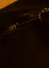 Filename=VampireDiariesWorld-dot-nl_Legacies3x05ThisIsWhatItTakes0763.jpg
Filesize=1232KiB
Dimensions=1920x1080
Date added=Aug 15, 2022 VampireDiariesWorld-dot-nl_Legacies3x05ThisIsWhatItTakes0763.jpg