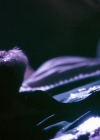 VampireDiariesWorld-dot-nl_Legacies3x05ThisIsWhatItTakes1378.jpg