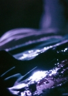 VampireDiariesWorld-dot-nl_Legacies3x05ThisIsWhatItTakes1379.jpg