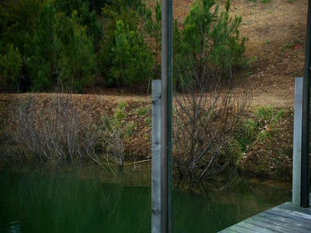 VampireDiariesWorld-dot-nl_Legacies3x08LongTimeNoSee_2473.jpg