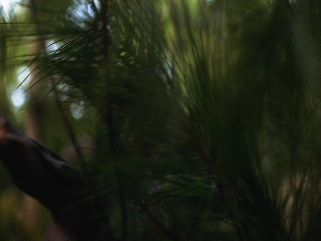 VampireDiariesWorld-dot-nl_Legacies3x08LongTimeNoSee_2474.jpg