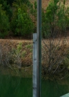 VampireDiariesWorld-dot-nl_Legacies3x08LongTimeNoSee_2473.jpg