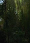 VampireDiariesWorld-dot-nl_Legacies3x08LongTimeNoSee_2474.jpg