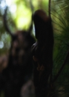 VampireDiariesWorld-dot-nl_Legacies3x08LongTimeNoSee_2475.jpg