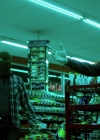 VampireDiariesWorld-dot-nl_Legacies3x10AllsWellThatEndsWell0055.jpg