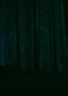 Filename=VampireDiariesWorld-dot-nl_Legacies3x10AllsWellThatEndsWell1863.jpg
Filesize=1063KiB
Dimensions=1920x1080
Date added=Aug 15, 2022 VampireDiariesWorld-dot-nl_Legacies3x10AllsWellThatEndsWell1863.jpg