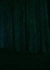 Filename=VampireDiariesWorld-dot-nl_Legacies3x10AllsWellThatEndsWell1864.jpg
Filesize=1148KiB
Dimensions=1920x1080
Date added=Aug 15, 2022 VampireDiariesWorld-dot-nl_Legacies3x10AllsWellThatEndsWell1864.jpg