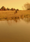 VampireDiariesWorld-dot-nl_Legacies3x13OneDayYouWillUnderstand0408.jpg