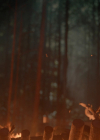 Filename=VampireDiariesWorld-dot-nl_Legacies3x15ANewHope2057.jpg
Filesize=885KiB
Dimensions=1920x1080
Date added=Aug 17, 2022 VampireDiariesWorld-dot-nl_Legacies3x15ANewHope2057.jpg