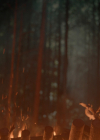 Filename=VampireDiariesWorld-dot-nl_Legacies3x15ANewHope2058.jpg
Filesize=960KiB
Dimensions=1920x1080
Date added=Aug 17, 2022 VampireDiariesWorld-dot-nl_Legacies3x15ANewHope2058.jpg