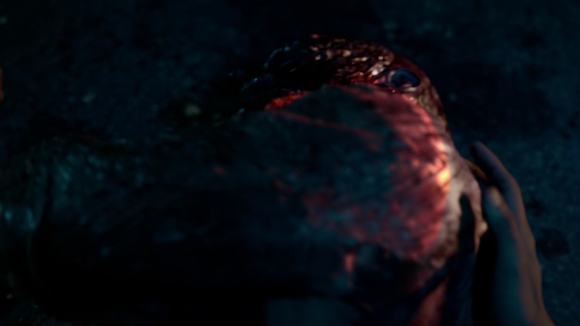 VampireDiariesWorld-dot-nl_Legacies4x09ICantBetheOnetoStopYou0017.jpg VampireDiariesWorld-dot-nl_Legacies4x09ICantBetheOnetoStopYou0017.jpg