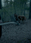 VampireDiariesWorld-dot-nl_Legacies4x19ThisCanOnlyEndinBlood0649.jpg