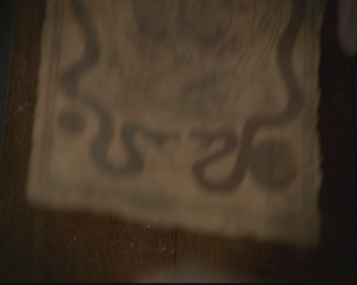 VampireDiariesWorld-dot-org_TheOriginals1x06FruitsOfThePoisonedTree0520.jpg