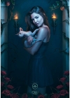 Filename=003.jpg
Filesize=79KiB
Dimensions=500x740
Date added=Oct 02, 2014 003.jpg