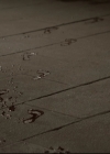 Filename=VampireDiariesWorld-dot-nl_TheOriginals-2x02AliveAndKicking0173.jpg
Filesize=167KiB
Dimensions=720x576
Date added=Nov 04, 2015 VampireDiariesWorld-dot-nl_TheOriginals-2x02AliveAndKicking0173.jpg