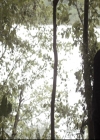 Filename=VampireDiariesWorld-dot-nl_TheOriginals-2x02AliveAndKicking0658.jpg
Filesize=272KiB
Dimensions=720x576
Date added=Nov 04, 2015 VampireDiariesWorld-dot-nl_TheOriginals-2x02AliveAndKicking0658.jpg