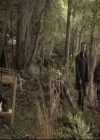 Filename=VampireDiariesWorld-dot-nl_TheOriginals-2x02AliveAndKicking0694.jpg
Filesize=277KiB
Dimensions=720x576
Date added=Nov 04, 2015 VampireDiariesWorld-dot-nl_TheOriginals-2x02AliveAndKicking0694.jpg