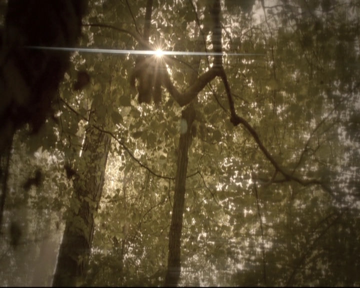 VampireDiariesWorld-dot-nl_TheOriginals-2x03EveryMothersSon0165.jpg VampireDiariesWorld-dot-nl_TheOriginals-2x03EveryMothersSon0165.jpg