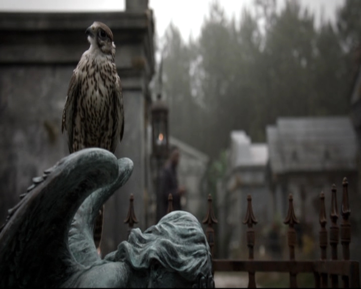 VampireDiariesWorld-dot-nl_TheOriginals-2x03EveryMothersSon0824.jpg VampireDiariesWorld-dot-nl_TheOriginals-2x03EveryMothersSon0824.jpg