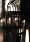 VampireDiariesWorld-dot-nl_TheOriginals-2x03EveryMothersSon0011.jpg
