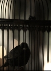 VampireDiariesWorld-dot-nl_TheOriginals-2x03EveryMothersSon0013.jpg