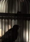 VampireDiariesWorld-dot-nl_TheOriginals-2x03EveryMothersSon0014.jpg