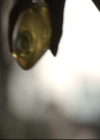 VampireDiariesWorld-dot-nl_TheOriginals-2x03EveryMothersSon0030.jpg