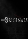 Filename=VampireDiariesWorld-dot-nl_TheOriginals-2x05RedDoor0055.jpg
Filesize=71KiB
Dimensions=720x576
Date added=Nov 10, 2015 VampireDiariesWorld-dot-nl_TheOriginals-2x05RedDoor0055.jpg