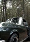VampireDiariesWorld-dot-nl_TheOriginals-2x05RedDoor1661.jpg