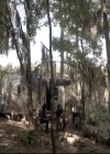VampireDiariesWorld_dot_nl-TheOriginals_2x06WheelInsidetheWheel0905.jpg