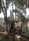 Filename=VampireDiariesWorld_dot_nl-TheOriginals_2x06WheelInsidetheWheel0907.jpg
Filesize=303KiB
Dimensions=720x576
Date added=Nov 10, 2015 VampireDiariesWorld_dot_nl-TheOriginals_2x06WheelInsidetheWheel0907.jpg