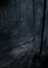 VampireDiariesWorld_dot_nl-TheOriginals_2x07ChasingTheDevilsTail0006.jpg