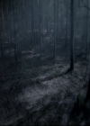 VampireDiariesWorld_dot_nl-TheOriginals_2x07ChasingTheDevilsTail0009.jpg