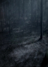 VampireDiariesWorld_dot_nl-TheOriginals_2x07ChasingTheDevilsTail0010.jpg