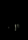 VampireDiariesWorld_dot_nl-TheOriginals_2x17ExquisiteCorpse1690.jpg