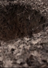 VampireDiariesWorld_dot_nl-TheOriginals_2x20CityBeneathTheSea0433.jpg