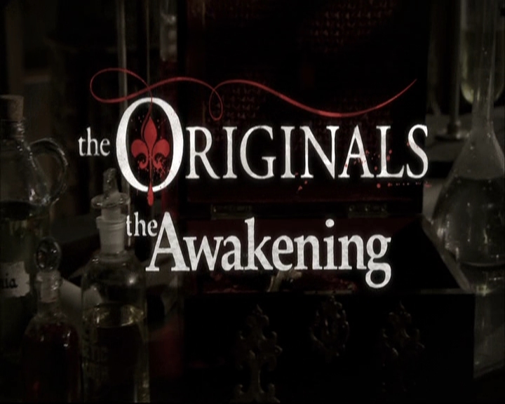 VampireDiariesWorld-dot-nl_TheOriginals-S3TheAwakeningsWebSeries-Slaughter0004.jpg VampireDiariesWorld-dot-nl_TheOriginals-S3TheAwakeningsWebSeries-Slaughter0004.jpg