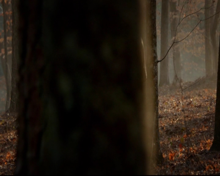 VampireDiariesWorld-dot-nl_TheOriginals_3x17BehindTheBlackHorizon0022.jpg VampireDiariesWorld-dot-nl_TheOriginals_3x17BehindTheBlackHorizon0022.jpg