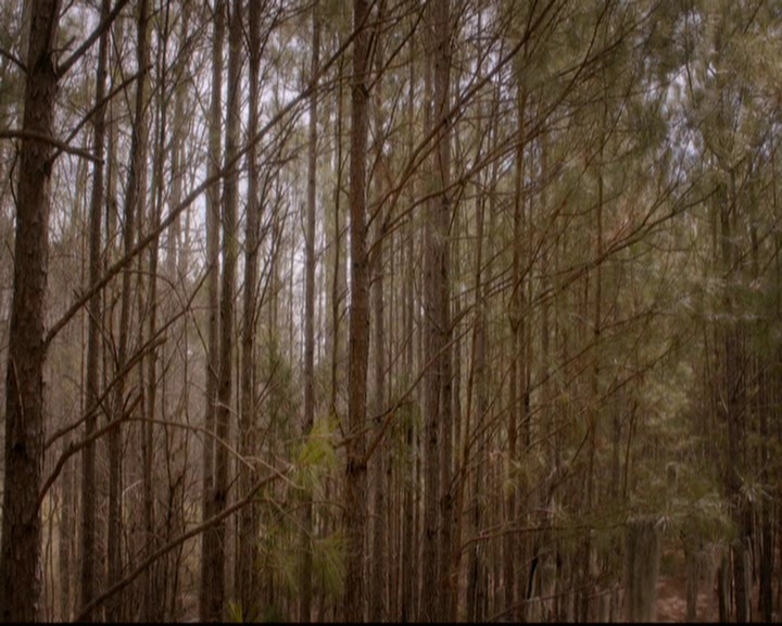 VampireDiariesWorld-dot-nl_TheOriginals_3x20WhereNothingStaysBuried0714.jpg VampireDiariesWorld-dot-nl_TheOriginals_3x20WhereNothingStaysBuried0714.jpg