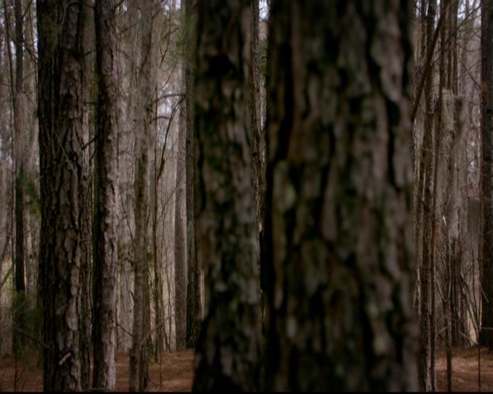 VampireDiariesWorld-dot-nl_TheOriginals_3x20WhereNothingStaysBuried0729.jpg VampireDiariesWorld-dot-nl_TheOriginals_3x20WhereNothingStaysBuried0729.jpg
