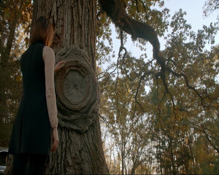 VampireDiaries-dot-nl_TheOriginals4x09QueenDeath0109.jpg VampireDiaries-dot-nl_TheOriginals4x09QueenDeath0109.jpg