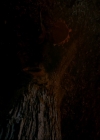 Filename=VampireDiaries-dot-nl_TheOriginals4x09QueenDeath2346.jpg
Filesize=149KiB
Dimensions=720x576
Date added=May 22, 2018 VampireDiaries-dot-nl_TheOriginals4x09QueenDeath2346.jpg